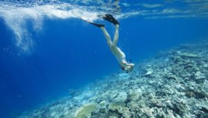 Urlaubsparadies schützt Korallen: Palau verbietet Großteil der Sonnencremes