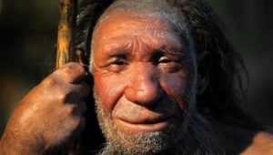 Zähne sind wie ein Archiv: Bleiverseuchung traf schon Neandertaler