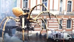 Toulouse: Riesenspinne krabbelt durch Innenstadt