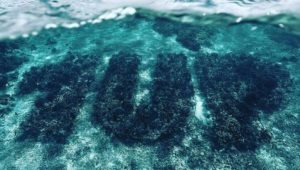 1Up-Crew: Erstes 3-D-Unterwasser-Graffiti aus Korallen